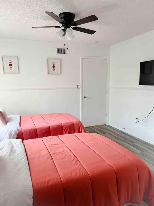 Sparkling Guest Home 2 Bedroom-15 Minutes To Clearwater Beach 外观 照片
